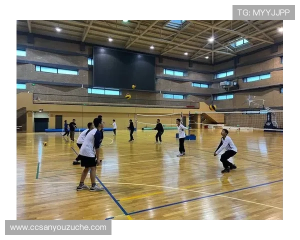 上海排球队包夹战术揭秘深度解析排球比赛中的团队协作与策略运用