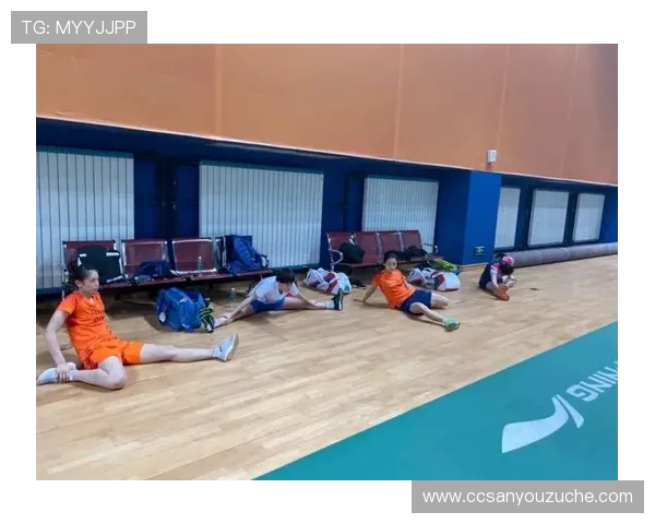 南京羽毛球队与成都羽毛球队赛后状态分析与复盘总结