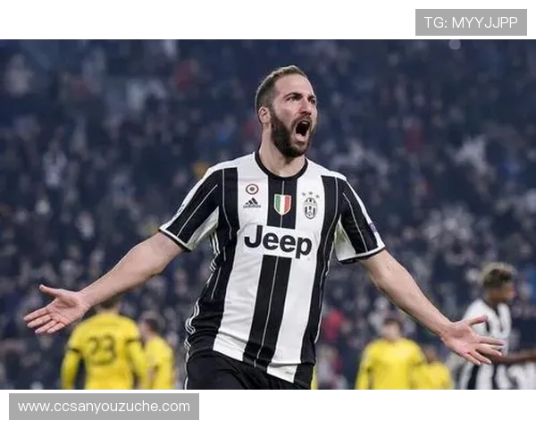 布里斯班子弹与大班对决精彩回顾与赛季展望分析